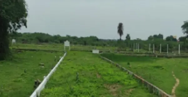 Property in chennai