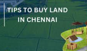Blog | Mathi Properties