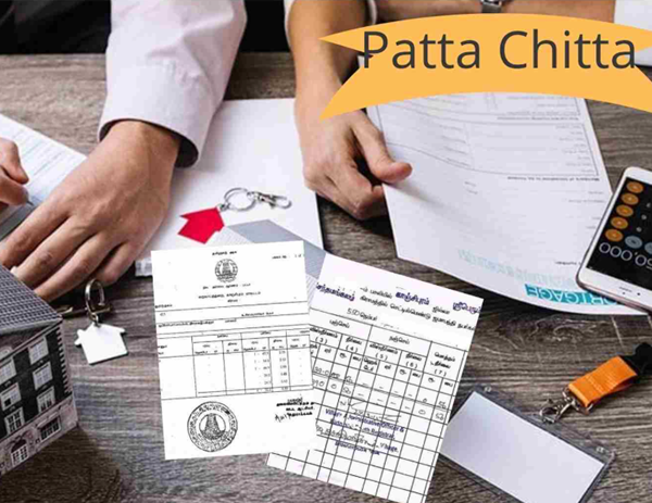 patta